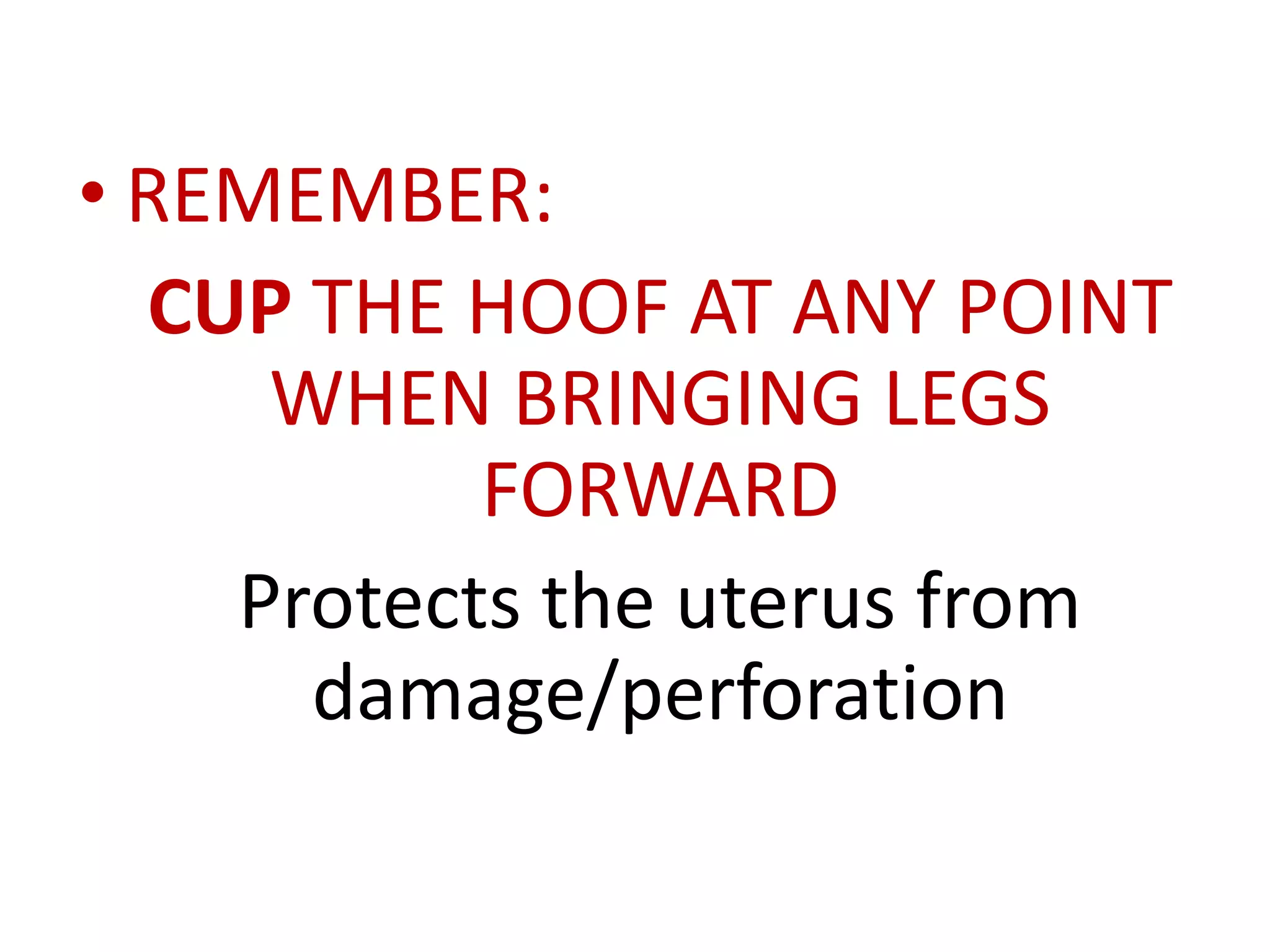 • REMEMBER:
CUP THE HOOF AT ANY POINT
WHEN BRINGING LEGS
FORWARD
Protects the uterus from
damage/perforation
 