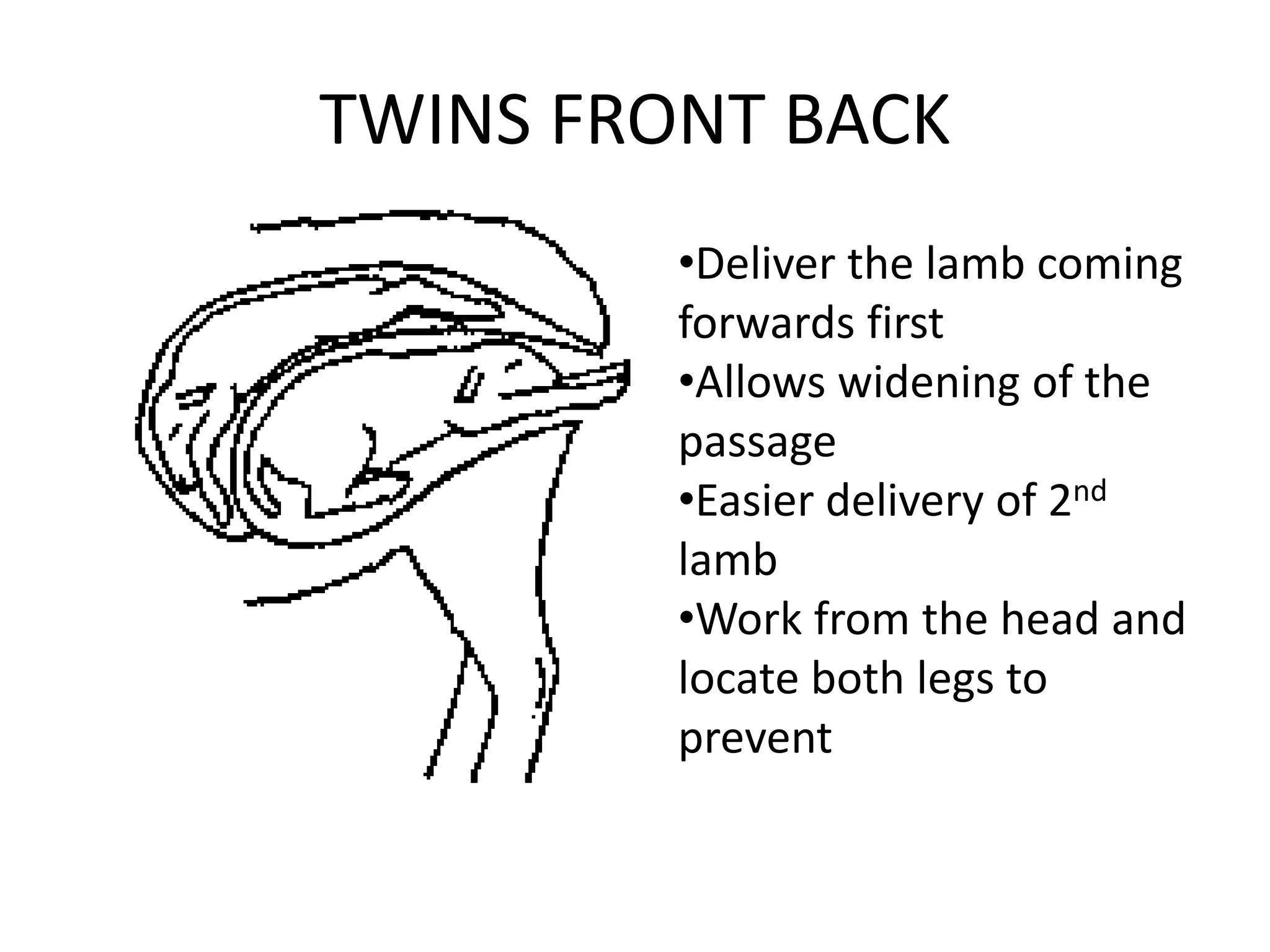 TWINS FRONT BACK
•Deliver the lamb coming
forwards first
•Allows widening of the
passage
•Easier delivery of 2nd
lamb
•Work from the head and
locate both legs to
prevent
 