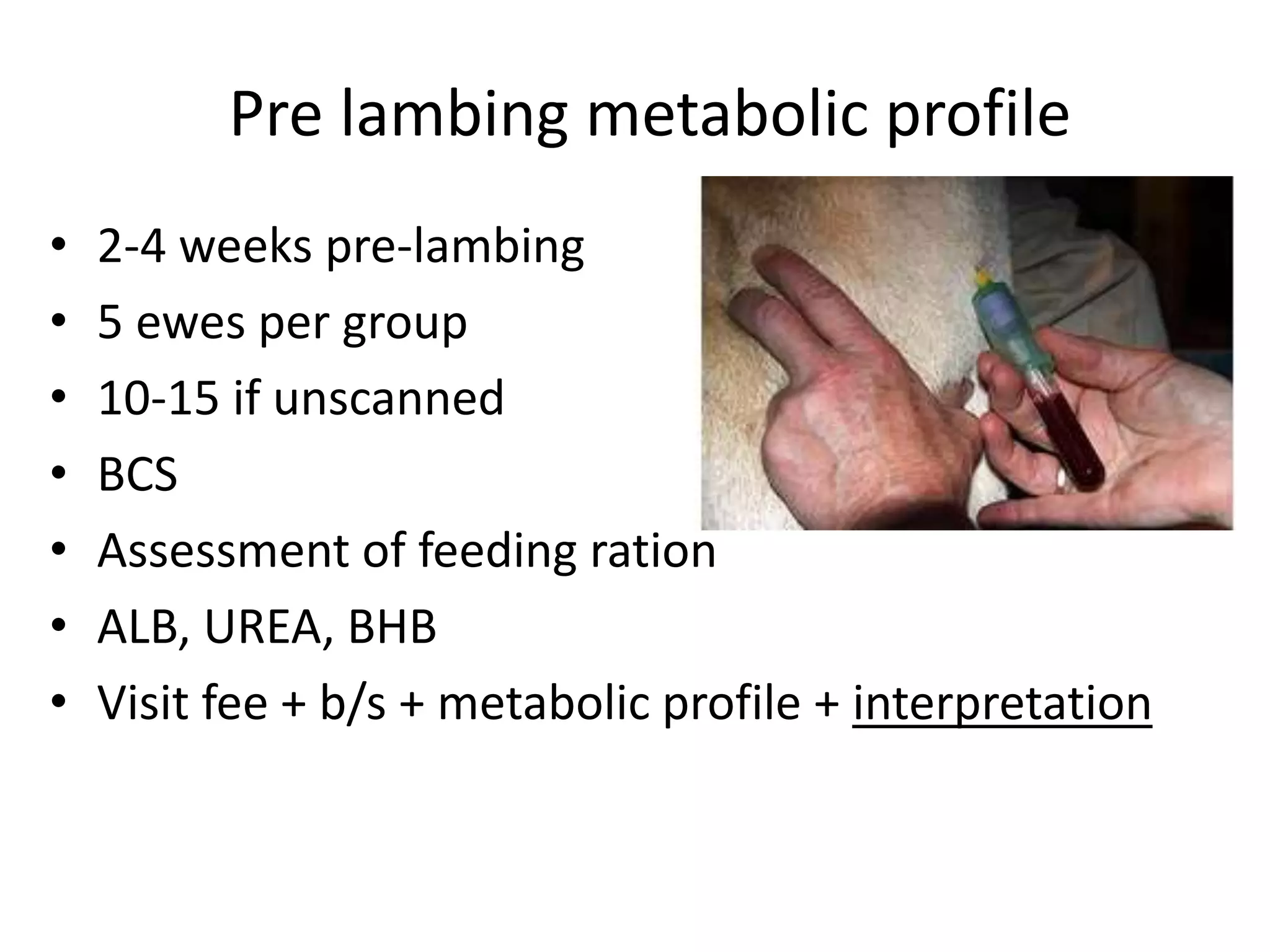 Pre lambing metabolic profile
• 2-4 weeks pre-lambing
• 5 ewes per group
• 10-15 if unscanned
• BCS
• Assessment of feeding ration
• ALB, UREA, BHB
• Visit fee + b/s + metabolic profile + interpretation
 