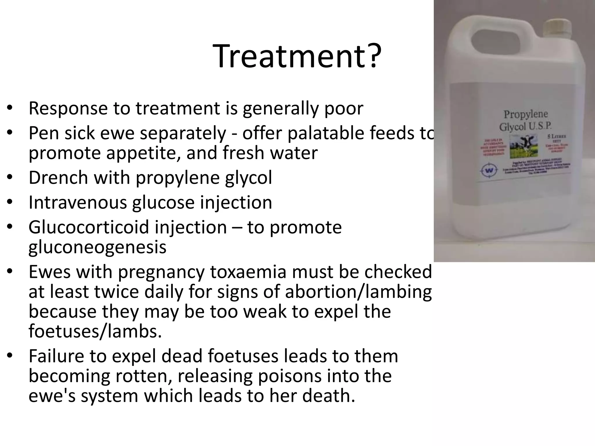 Treatment?
• Response to treatment is generally poor
• Pen sick ewe separately - offer palatable feeds to
promote appetite, and fresh water
• Drench with propylene glycol
• Intravenous glucose injection
• Glucocorticoid injection – to promote
gluconeogenesis
• Ewes with pregnancy toxaemia must be checked
at least twice daily for signs of abortion/lambing
because they may be too weak to expel the
foetuses/lambs.
• Failure to expel dead foetuses leads to them
becoming rotten, releasing poisons into the
ewe's system which leads to her death.
 