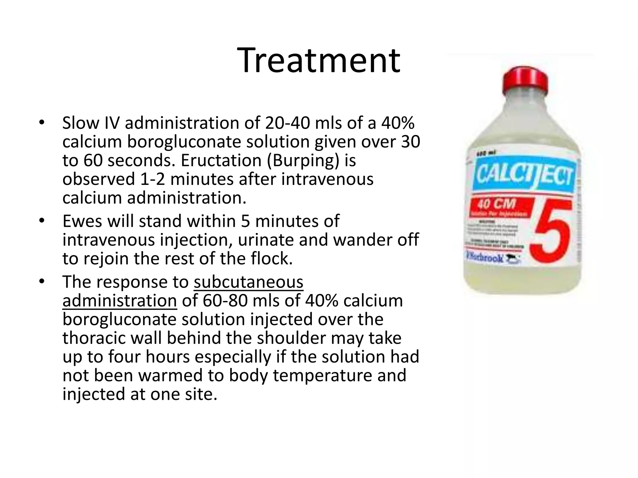 Treatment
• Slow IV administration of 20-40 mls of a 40%
calcium borogluconate solution given over 30
to 60 seconds. Eructation (Burping) is
observed 1-2 minutes after intravenous
calcium administration.
• Ewes will stand within 5 minutes of
intravenous injection, urinate and wander off
to rejoin the rest of the flock.
• The response to subcutaneous
administration of 60-80 mls of 40% calcium
borogluconate solution injected over the
thoracic wall behind the shoulder may take
up to four hours especially if the solution had
not been warmed to body temperature and
injected at one site.
 