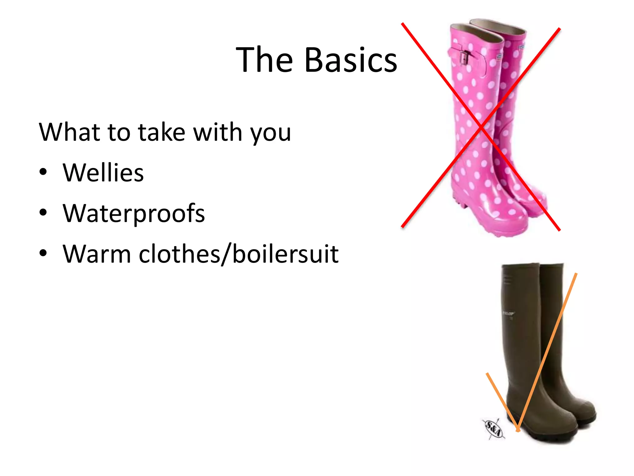 The Basics
What to take with you
• Wellies
• Waterproofs
• Warm clothes/boilersuit
 