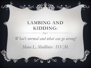 LAMBING AND
KIDDING:

What’s normal and what can go wrong!
Mara L. Mulllinix D.V.M.

 