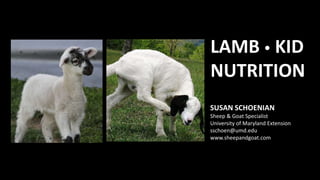 LAMB  KID
NUTRITION
SUSAN SCHOENIAN
Sheep & Goat Specialist
University of Maryland Extension
sschoen@umd.edu
www.sheepandgoat.com
 