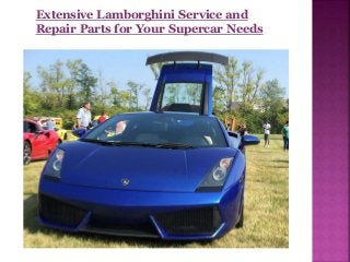 Extensive Lamborghini Service and
Repair Parts for Your Supercar Needs
 