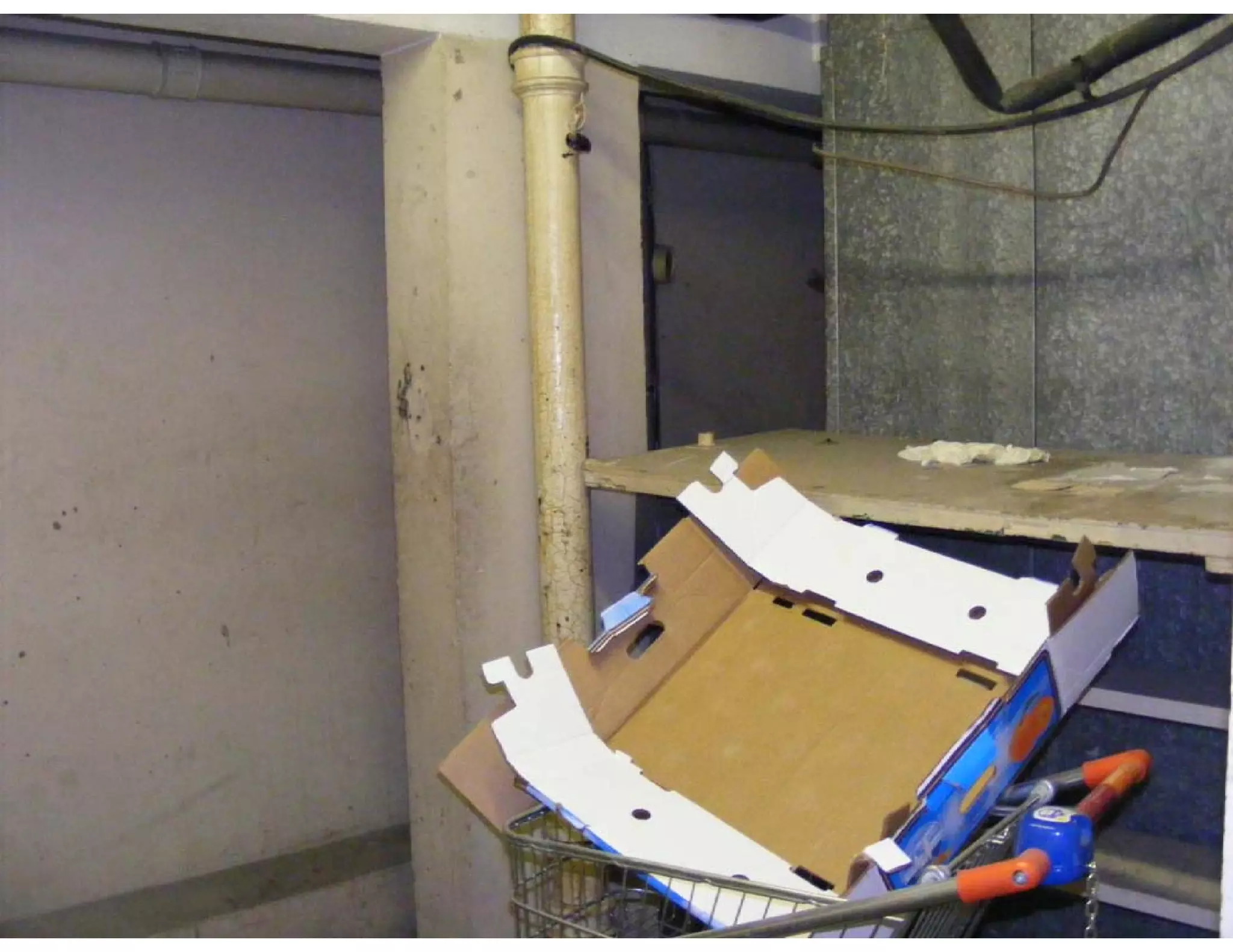 Images of empty supermarket - 5 11 09