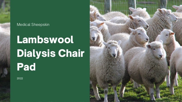 Medical Sheepskin
Lambswool
Dialysis Chair
Pad
2022
 