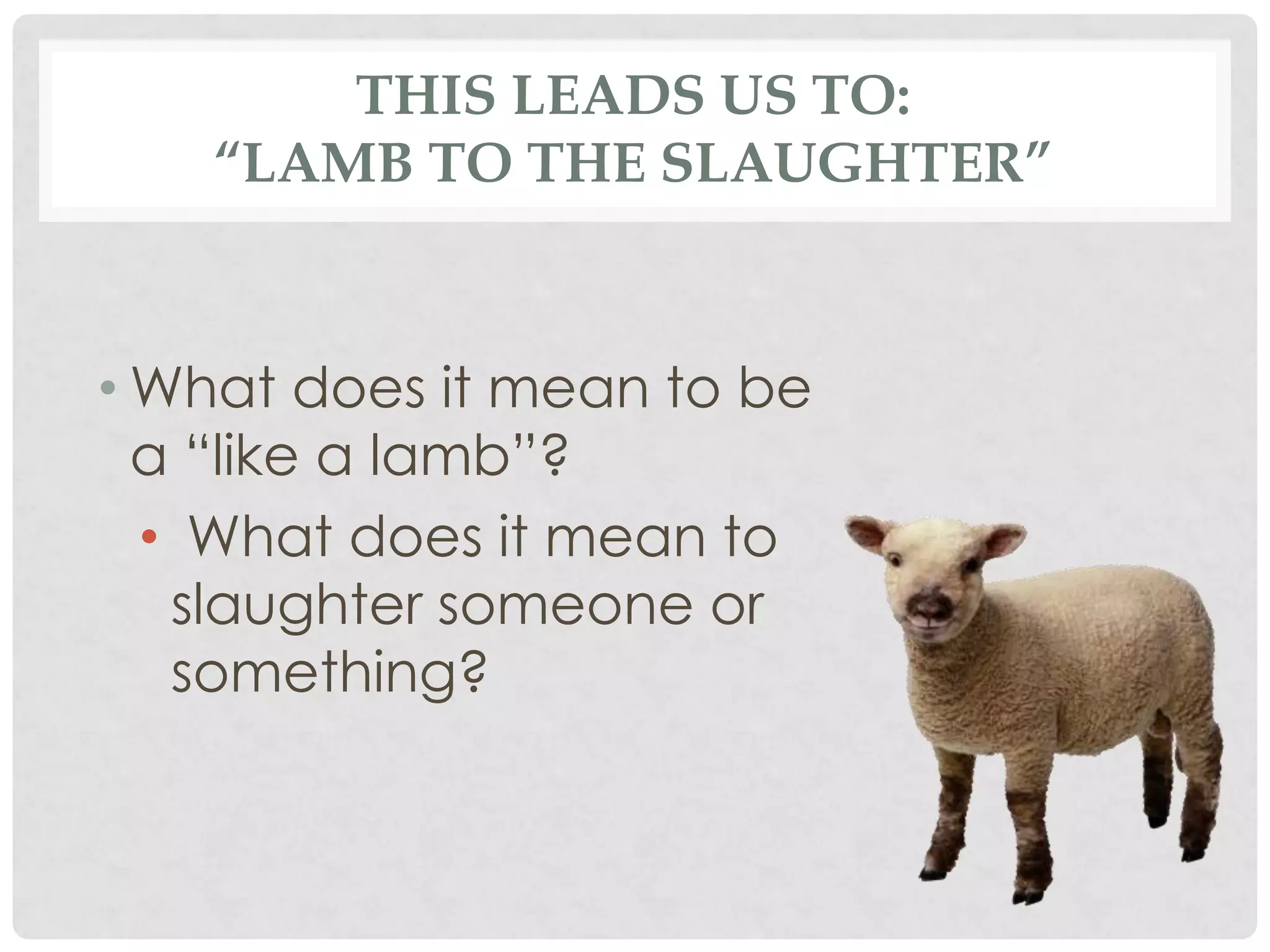 THIS LEADS US TO:
“LAMB TO THE SLAUGHTER”
• What does it mean to be
a “like a lamb”?
• What does it mean to
slaughter someone or
something?
 