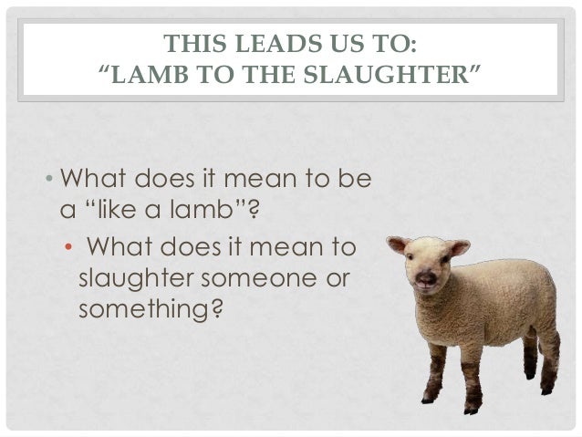 lamb to the slaughter essays lamb to the slaughter essays