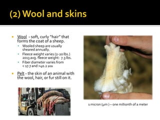  Wool - soft, curly “hair” that
forms the coat of a sheep.
 Wooled sheep are usually
sheared annually.
 Fleece weight varies (2-20 lbs.)
2013 avg. fleece weight: 7.3 lbs.
 Fiber diameter varies from
< 17.7 and >40.2 µm
 Pelt - the skin of an animal with
the wool, hair, or fur still on it.
1 micron (µm ) – one millionth of a meter
 