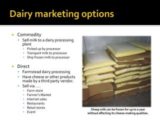 Commodity
 Sell milk to a dairy processing
plant
▪ Picked up by processor
▪ Transport milk to processor
▪ Ship frozen milk to processor
 Direct
 Farmstead dairy processing
 Have cheese or other products
made by a third party vendor.
 Sell via . . .
▪ Farm store
▪ Farmer’s Market
▪ Internet sales
▪ Restaurants
▪ Retail stores
▪ Event
Sheep milk can be frozen for up to a year
without affecting its cheese-making qualities.
 