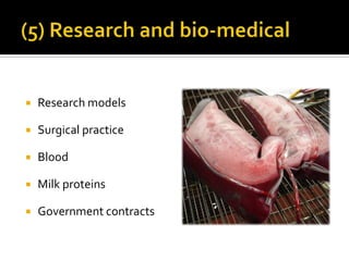  Research models
 Surgical practice
 Blood
 Milk proteins
 Government contracts
 