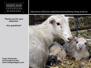Thank you for your
attention.
Any questions?
Susan Schoenian
sschoen@umd.edu
www.sheepandgoat.com
SMALL RUMINANT PROGRAM
http://www.slideshare.net/schoenian/marketing-sheep-products
 