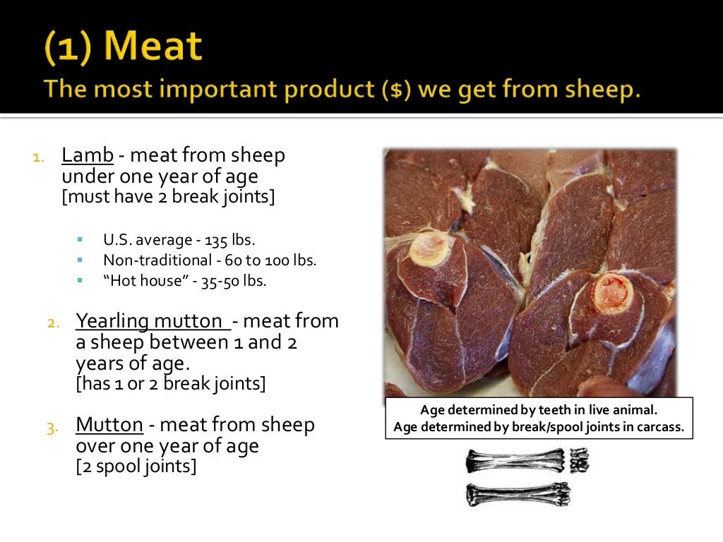 Marketing sheep products