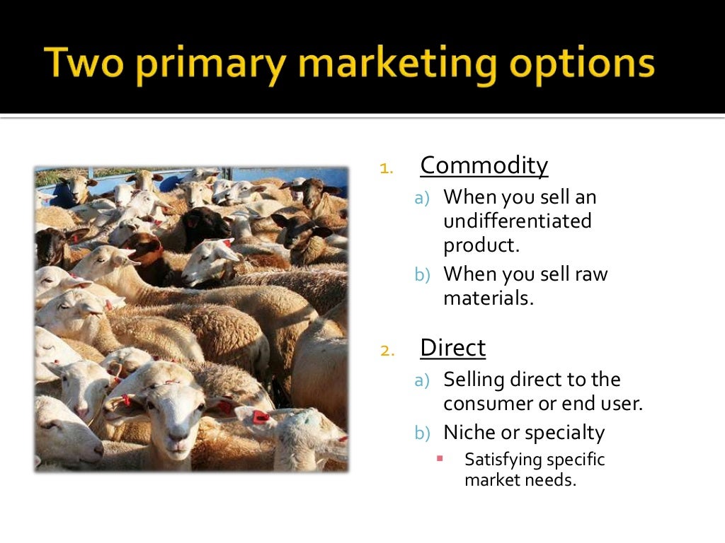 Marketing sheep products