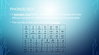 PHONOLOGY
• A phonetic chart shows all the sounds of a language and uses
different symbols for different sounds made by the same letter
• The sounds on the chart are called phones
 