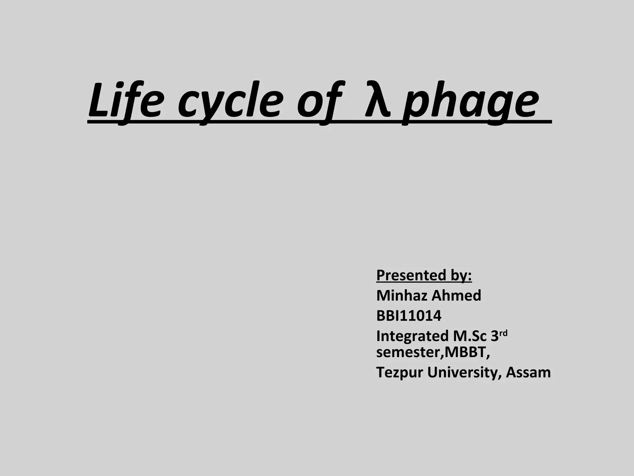 Life cycle of λ phage
Presented by:
Minhaz Ahmed
BBI11014
Integrated M.Sc 3rd
semester,MBBT,
Tezpur University, Assam