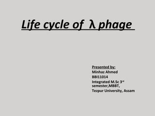 Life cycle of  λ phage

Presented by:
Minhaz Ahmed
BBI11014
Integrated M.Sc 3rd 
semester,MBBT,
Tezpur University, Assam

 