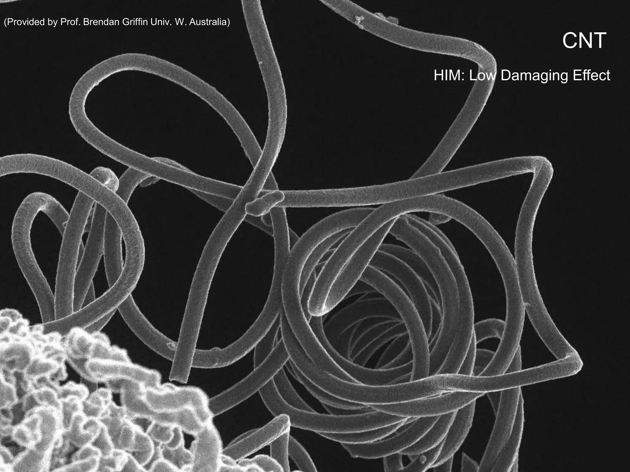 Carbon Nanotubes(Provided by Prof. Brendan Griffin Univ. W. Australia)
CNT
HIM: Low Damaging Effect
 