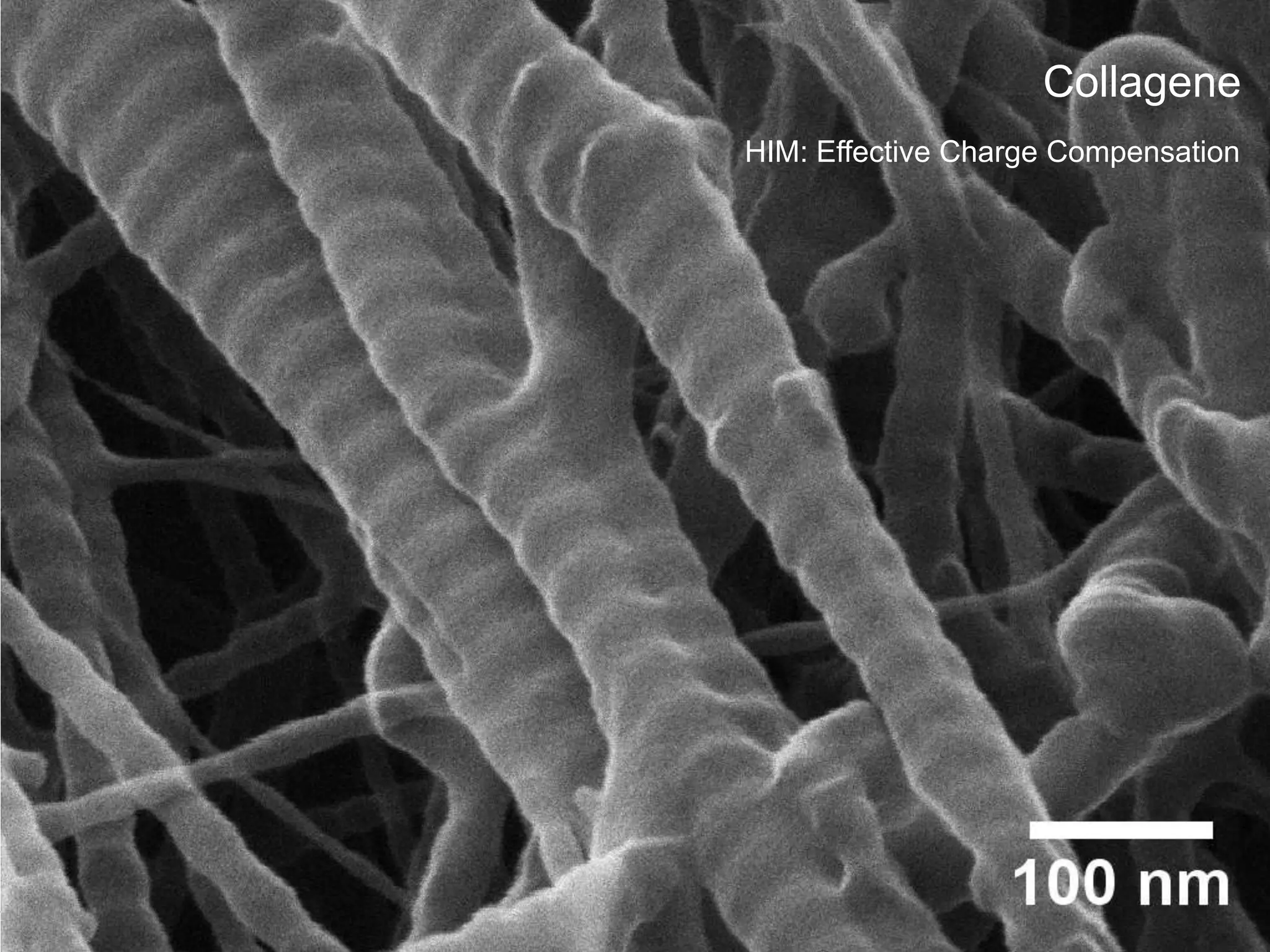 Collagene
HIM: Effective Charge Compensation
 