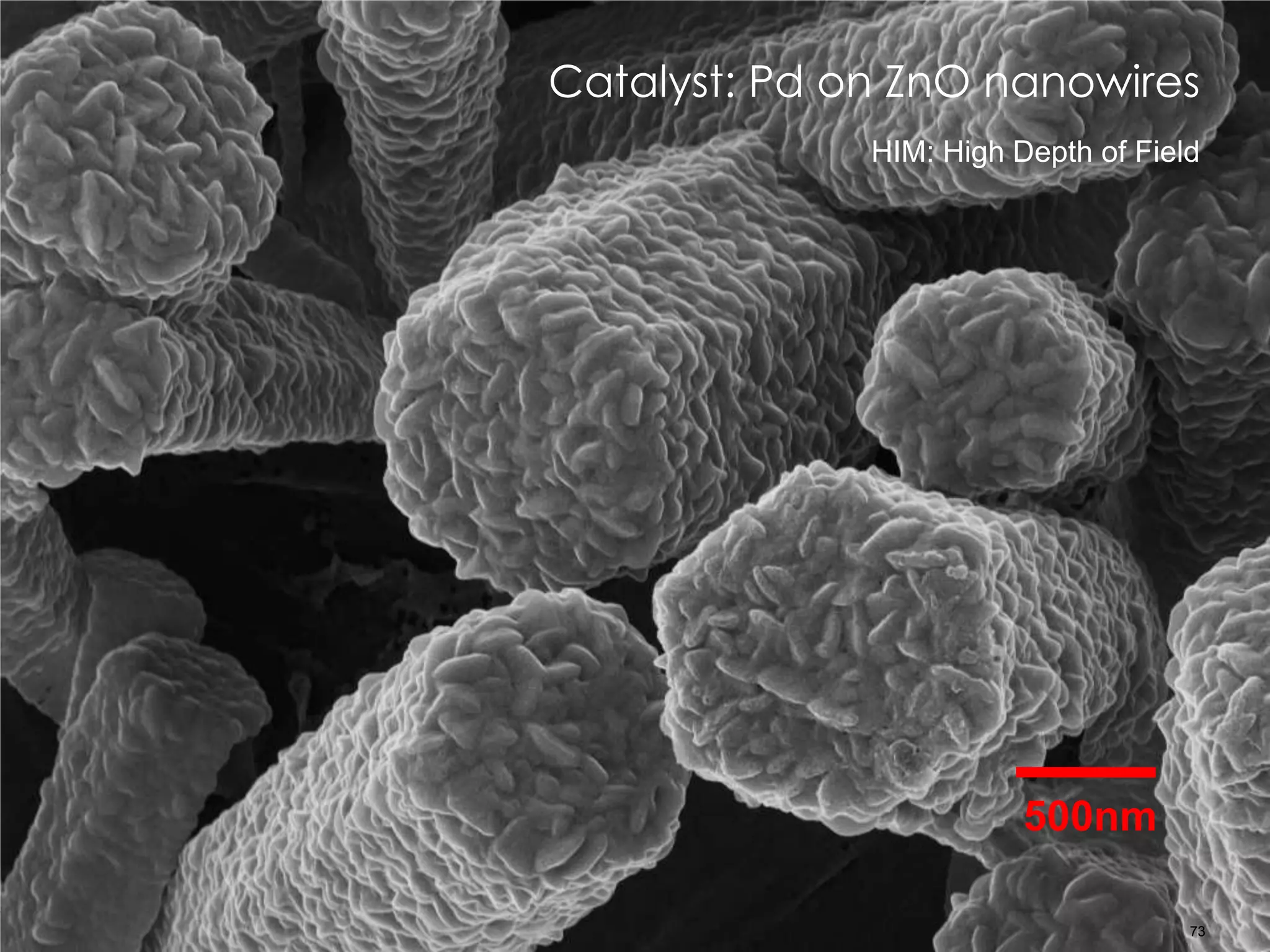 500nm
Catalyst: Pd on ZnO nanowires
73
HIM: High Depth of Field
 