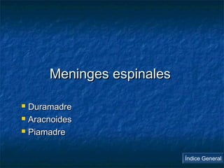 MMeenniinnggeess eessppiinnaalleess 
 DDuurraammaaddrree 
 AArraaccnnooiiddeess 
 PPiiaammaaddrree 
Índice General 
 