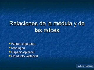 RReellaacciioonneess ddee llaa mméédduullaa yy ddee 
llaass rraaíícceess 
 RRaaíícceess eessppiinnaalleess 
 MMeenniinnggeess 
 EEssppaacciioo eeppiidduurraall 
 CCoonndduuccttoo vveerrtteebbrraall 
Índice General 
 