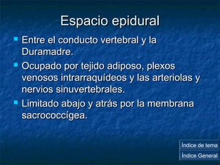 EEssppaacciioo eeppiidduurraall 
 EEnnttrree eell ccoonndduuccttoo vveerrtteebbrraall yy llaa 
DDuurraammaaddrree.. 
 OOccuuppaaddoo ppoorr tteejjiiddoo aaddiippoossoo,, pplleexxooss 
vveennoossooss iinnttrraarrrraaqquuííddeeooss yy llaass aarrtteerriioollaass yy 
nneerrvviiooss ssiinnuuvveerrtteebbrraalleess.. 
 LLiimmiittaaddoo aabbaajjoo yy aattrrááss ppoorr llaa mmeemmbbrraannaa 
ssaaccrrooccooccccííggeeaa.. 
Índice de tema 
Índice General 
 