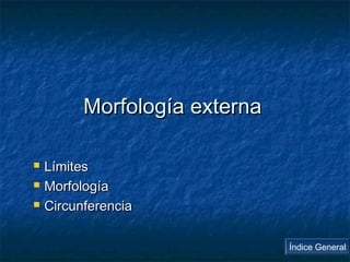 MMoorrffoollooggííaa eexxtteerrnnaa 
 LLíímmiitteess 
 MMoorrffoollooggííaa 
 CCiirrccuunnffeerreenncciiaa 
Índice General 
 