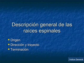 DDeessccrriippcciióónn ggeenneerraall ddee llaass 
rraaíícceess eessppiinnaalleess 
 OOrriiggeenn 
 DDiirreecccciióónn yy ttrraayyeeccttoo 
 TTeerrmmiinnaacciióónn 
Índice General 
 