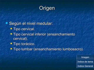 OOrriiggeenn 
 SSeeggúúnn eell nniivveell mmeedduullaarr:: 
 TTiippoo cceerrvviiccaall.. 
 TTiippoo cceerrvviiccaall iinnffeerriioorr ((eennssaanncchhaammiieennttoo 
cceerrvviiccaall)).. 
 TTiippoo ttoorráácciiccoo.. 
 TTiippoo lluummbbaarr ((eennssaanncchhaammiieennttoo lluummbboossaaccrroo)) 
Imagen 
Índice de tema 
Índice General 
 