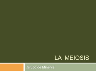 LA MEIOSIS
Grupo de Minerva
 