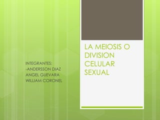 LA MEIOSIS O
DIVISION
CELULAR
SEXUAL
INTEGRANTES:
-ANDERSSON DIAZ
ANGEL GUEVARA
WILLIAM CORONEL
 