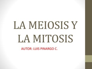 LA MEIOSIS Y
LA MITOSIS
AUTOR: LUIS PINARGO C.
 