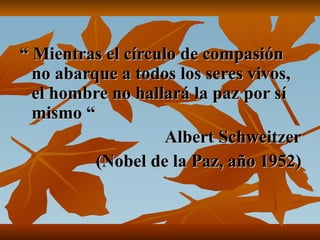 “  Mientras el círculo de compasión no abarque a todos los seres vivos, el hombre no hallará la paz por sí mismo “ Albert Schweitzer (Nobel de la Paz, año 1952) 