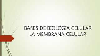 BASES DE BIOLOGIA CELULAR
LA MEMBRANA CELULAR
 