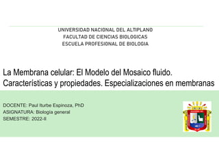 La Membrana celular: El Modelo del Mosaico fluido.
Características y propiedades. Especializaciones en membranas
DOCENTE: Paul Iturbe Espinoza, PhD
ASIGNATURA: Biología general
SEMESTRE: 2022-II
UNIVERSIDAD NACIONAL DEL ALTIPLANO
FACULTAD DE CIENCIAS BIOLOGICAS
ESCUELA PROFESIONAL DE BIOLOGIA
 