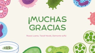¡MUCHAS
GRACIAS
Rosas Luana, Tacail Nicole, Damonte sofía
 
