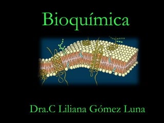 Dra.C Liliana Gómez Luna
Bioquímica
 