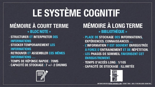 La mémoire et l'ergonomie IHM par antoine borzeix