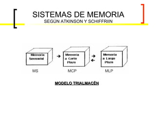 SISTEMAS DE MEMORIA  SEGÚN ATKINSON Y SCHIFFRIIN MS MCP MLP MODELO TRIALMACÉN 
