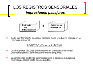 LOS REGISTROS SENSORIALES:  impresiones pasajeras   Toda la información sensorial entrante hace una breve parada en la memoria sensorial. REGISTRO VISUAL Y AUDITIVO Las imágenes visuales permanecen en el subsistema visual (memoria icónica) como máximo medio segundo.  Las imágenes auditivas permanecen en el subsistema auditivo (memoria ecoica) hasta dos segundos.  