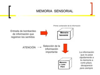 Primer contenedor de la información Selección de la información importante Entrada de bombardeo de información que registran los sentidos  La información que no pasa rápidamente a la memoria a corto plazo,  desaparece para siempre  MEMORIA  SENSORIAL ATENCIÓN 
