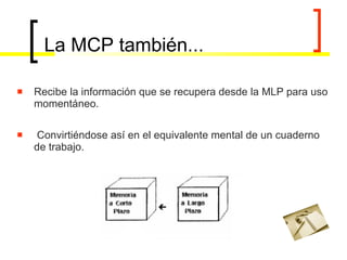 La MCP también... Recibe la información que se recupera desde la MLP para uso momentáneo. Convirtiéndose así en el equivalente mental de un cuaderno de trabajo.  