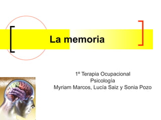 La memoria 1º Terapia Ocupacional Psicología Myriam Marcos, Lucía Saiz y Sonia Pozo 