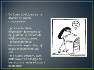 • De forma tradicional se ha
  dividido en varios
  componentes:

  - procesador de la
  información fonológica (p.
  ej., guardar un número de
  teléfono en la cabeza)
  - procesador de la
  información espacial (p. ej.,
  seguir mentalmente una
  ruta)
  - el sistema ejecutivo que
  distribuye o se encarga de
  los recursos necesarios para
  la atención.
 