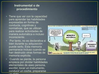 Instrumental o de
        procedimiento

• Tiene que ver con la capacidad
  para aprender las habilidades
  expresadas en forma de
  conducta, cognitivas y
  normativas, que se utilizan
  para realizar actividades de
  manera automática e incluso
  inconsciente.
• Por tanto, no es declarativa si
  bien durante su adquisición
  puede serlo. Esta memoria
  permanece incluso cuando se
  han destruido otras formas de
  memoria explícita.
• Cuando se pierde, la persona
  empieza por olvidar habilidades
  elementales de aseo persona,
  escribir, tocar un instrumento,
  conducir un coche, prepararse
 