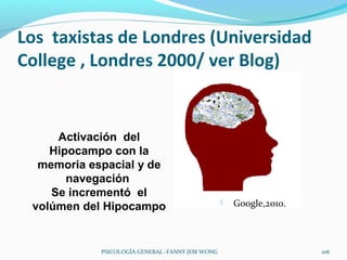 Los taxistas de Londres (Universidad
College , Londres 2000/ ver Blog)


     Activación del
    Hipocampo con la
  memoria espacial y de
       navegación
    Se incrementó el
 volúmen del Hipocampo                              Google,2010.



            PSICOLOGÍA GENERAL -FANNY JEM WONG                      106
 