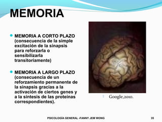 MEMORIA
 MEMORIA A CORTO PLAZO
 (consecuencia de la simple
 excitación de la sinapsis
 para reforzarla o
 sensibilizarla
 transitoriamente)

 MEMORIA A LARGO PLAZO
 (consecuencia de un
 reforzamiento permanente de
 la sinapsis gracias a la
 activación de ciertos genes y
 a la síntesis de las proteínas                     Google,2010.
 correspondientes).


                PSICOLOGÍA GENERAL -FANNY JEM WONG                  35
 