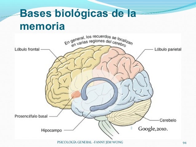 La memoria
